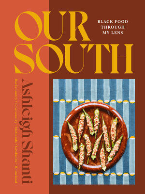 cover image of Our South